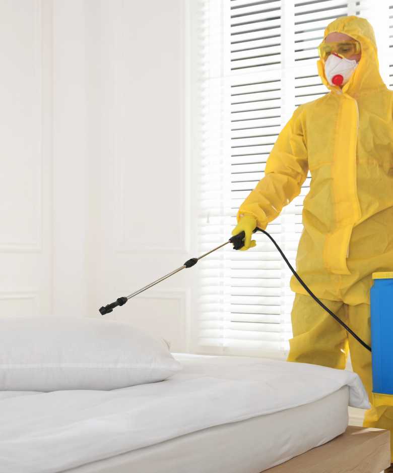 Professional Pest Control Team in Clarence Park